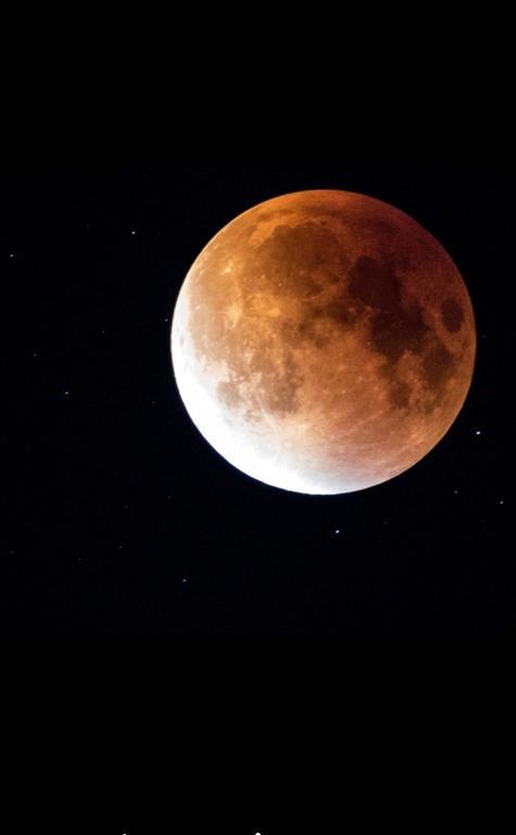 Luna 科斯蒂内什蒂 外观 照片